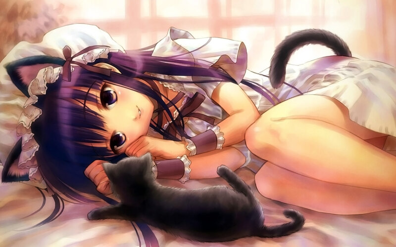 Anime Girl with Cat — Purple, Calm