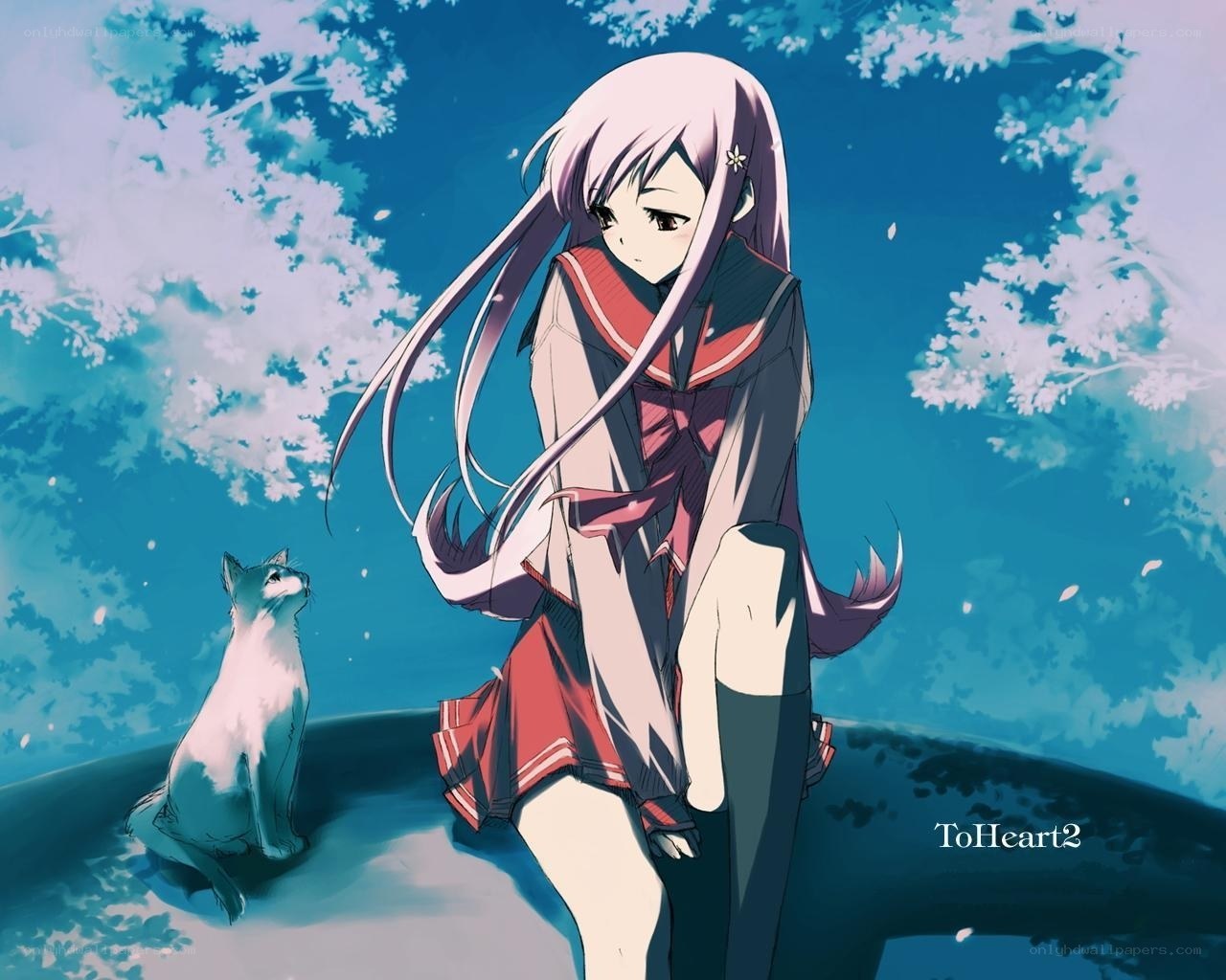 anime girl with cat under blossoms
