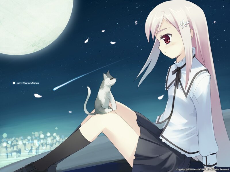 Anime girl with cat under moon