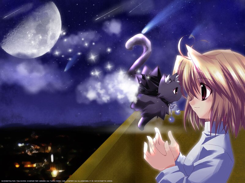 Anime girl with cat under moonlight