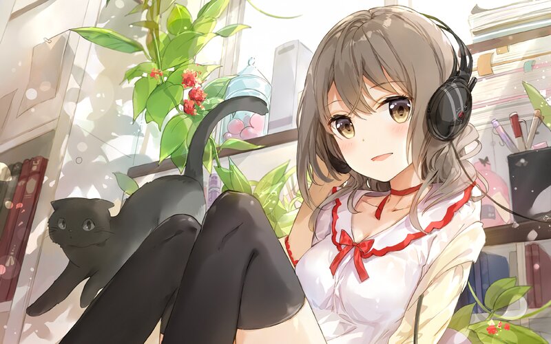Anime Girl with Cat — White, Calm, Afternoon, Digital Art