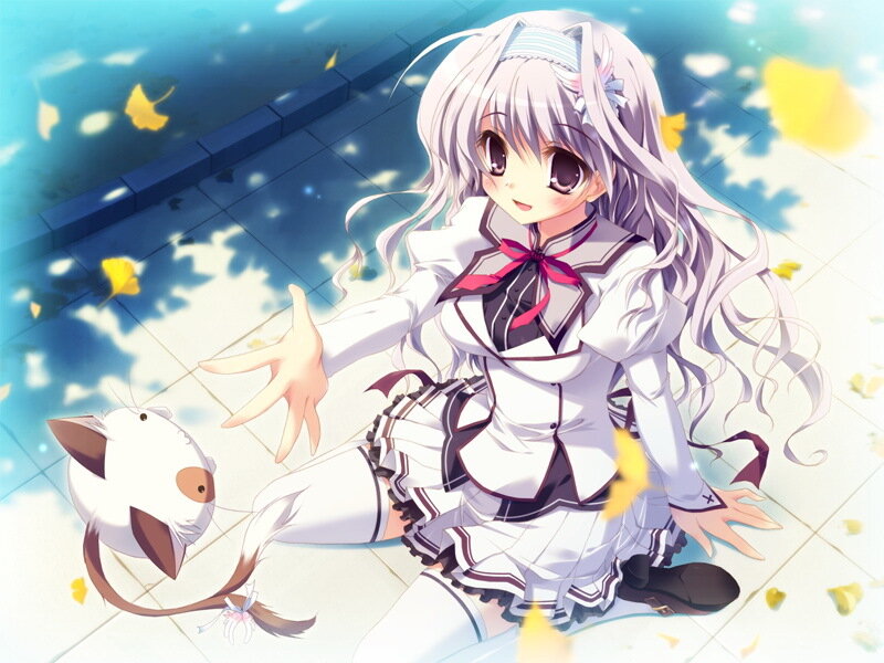 Anime Girl with Cat — White, Calm, Autumn