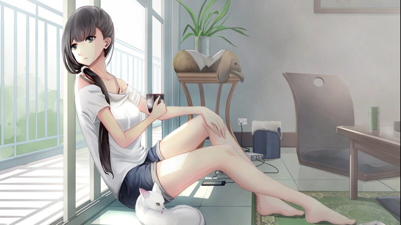 Anime Girl with Cat — White, Calm, Morning, Digital Art