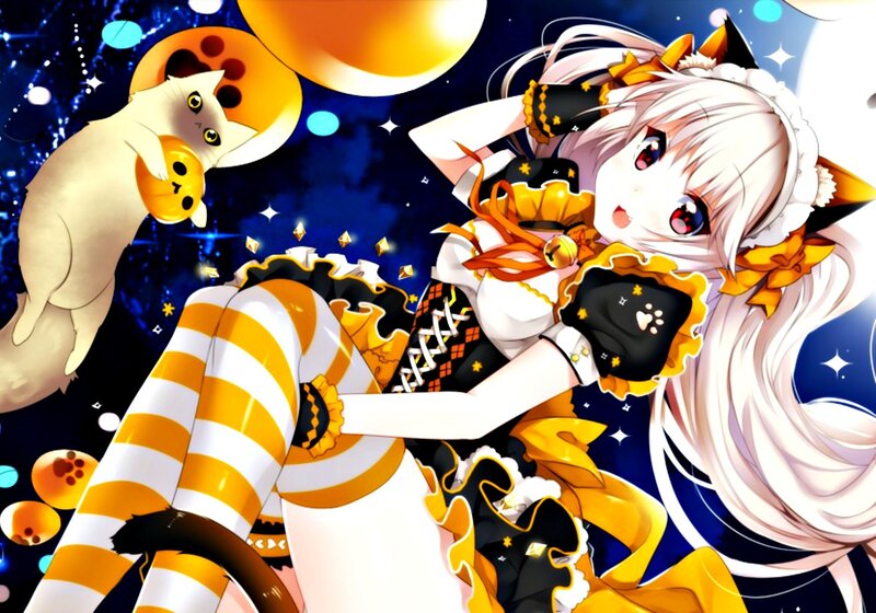 Anime Girl with Cat — White, Playful, Night