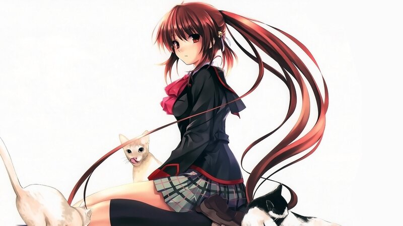anime girl with cats