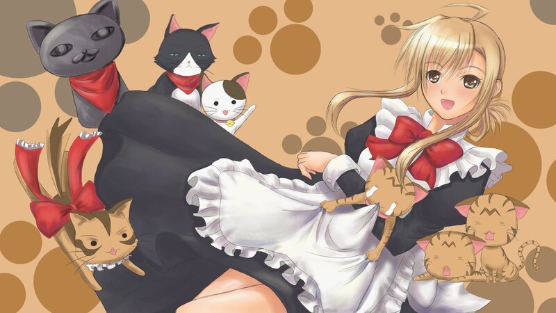 anime girl with cats
