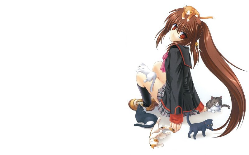 anime girl with cats