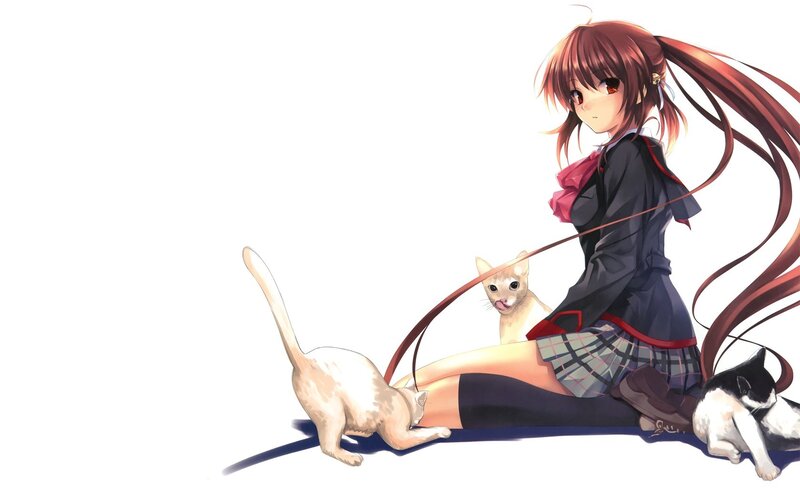 anime girl with cats