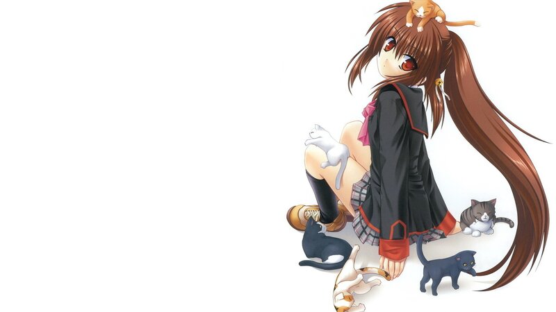 anime girl with cats