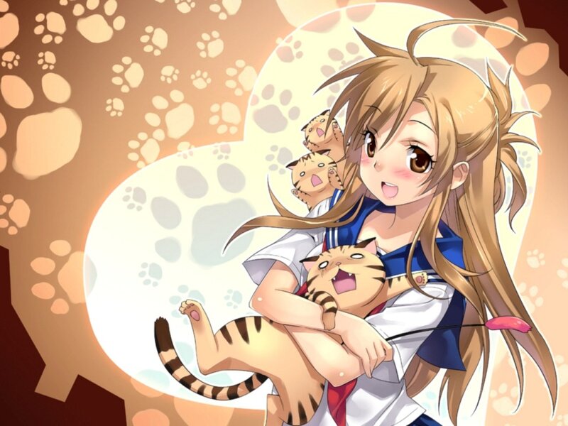anime girl with cats