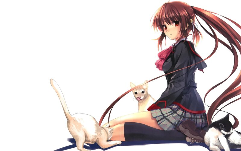 anime girl with cats