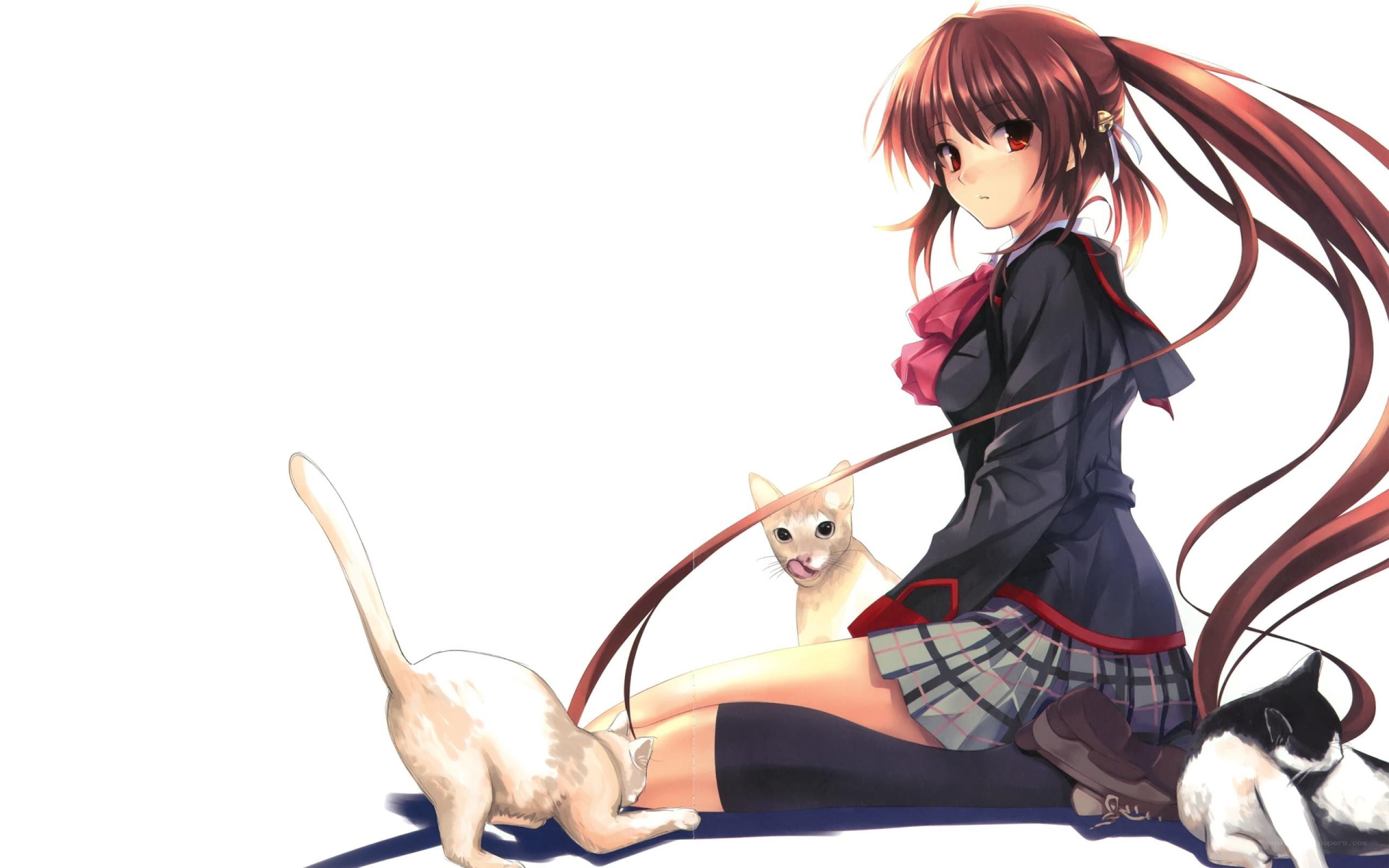 anime girl with cats