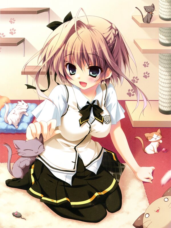Anime girl with cats