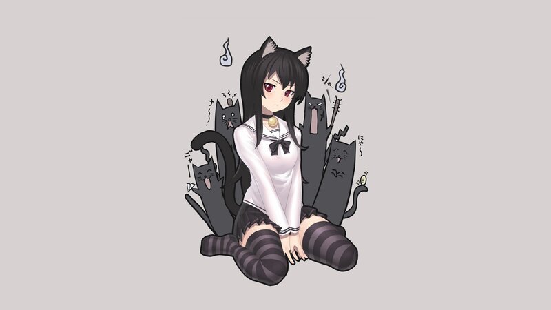 anime girl with cats