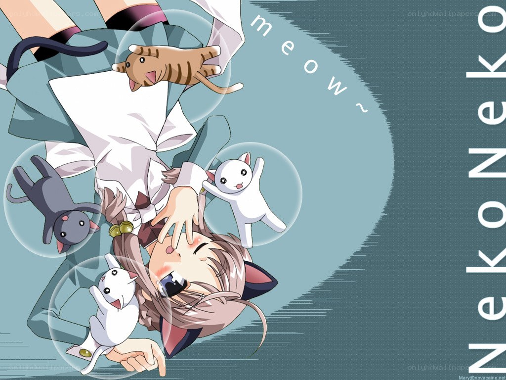 anime girl with cats