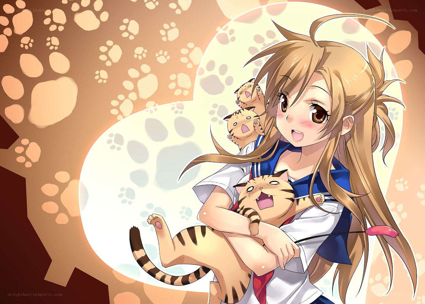 anime girl with cats