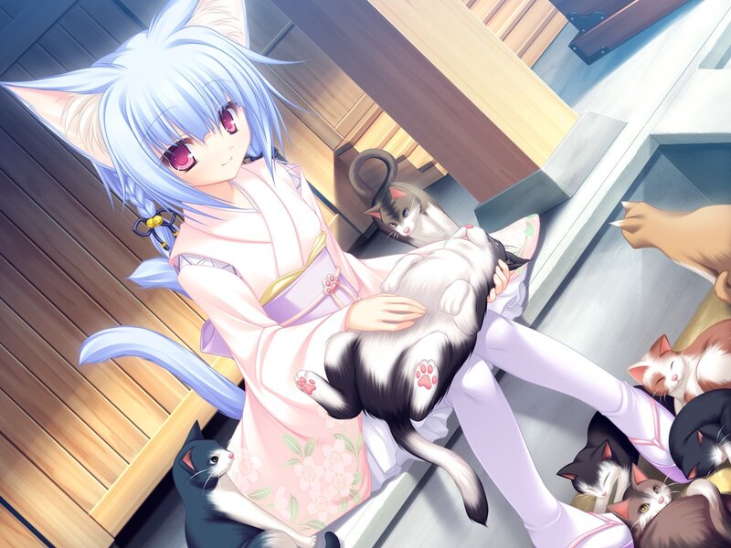 anime girl with cats