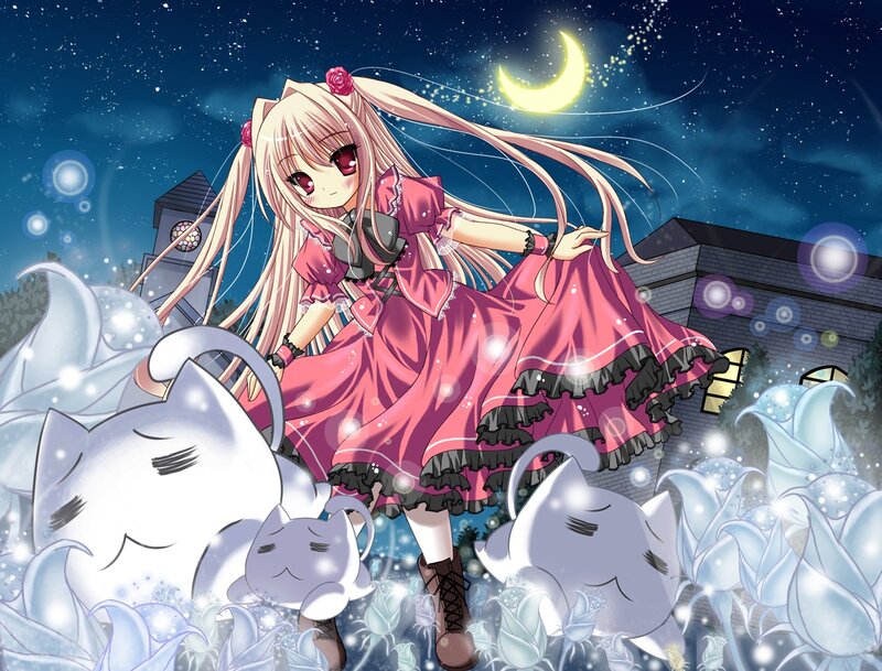 anime girl with cats at night