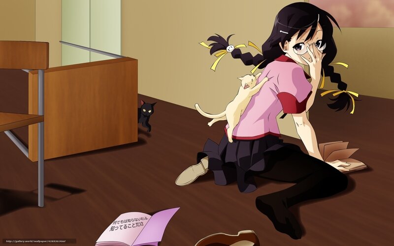 Anime Girl with Cats — Brown, Calm, Book