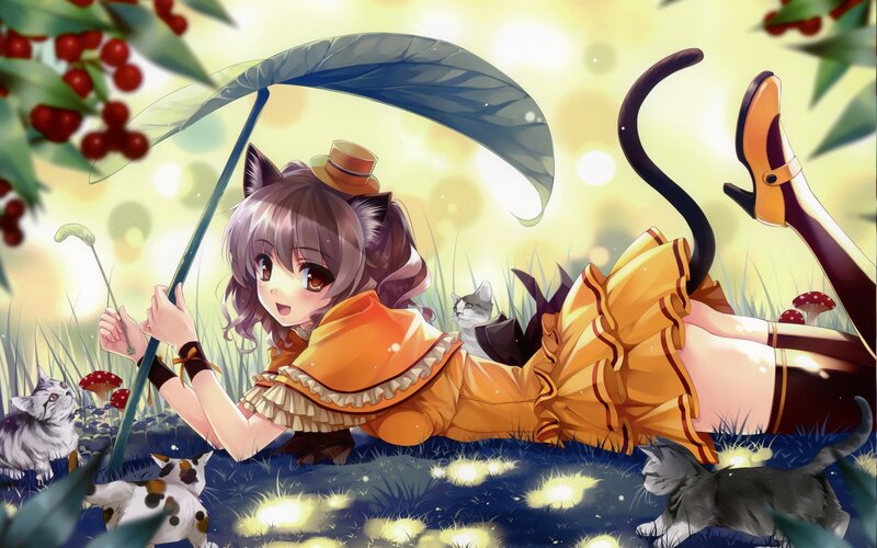 Anime girl with cats in field