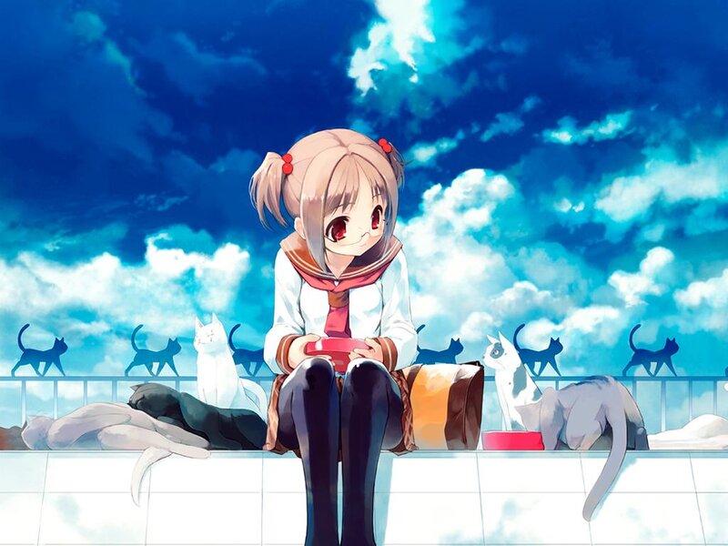 Anime girl with cats on rooftop