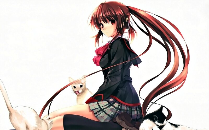 Anime Girl with Cats — Red, Calm, School Uniform