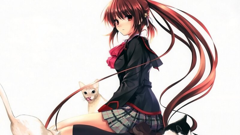 Anime Girl with Cats — Red, Calm