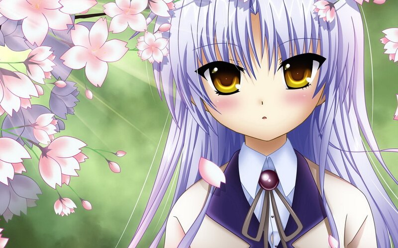 anime girl with cherry blossoms