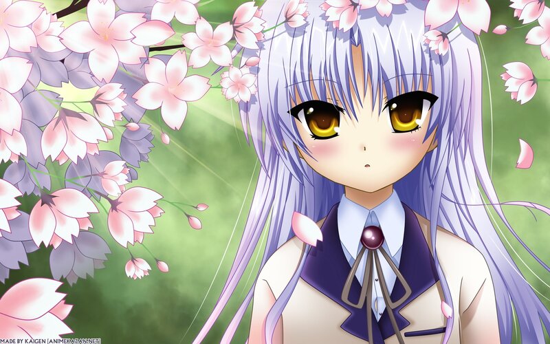 anime girl with cherry blossoms