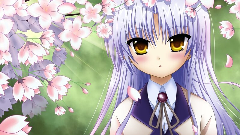 anime girl with cherry blossoms
