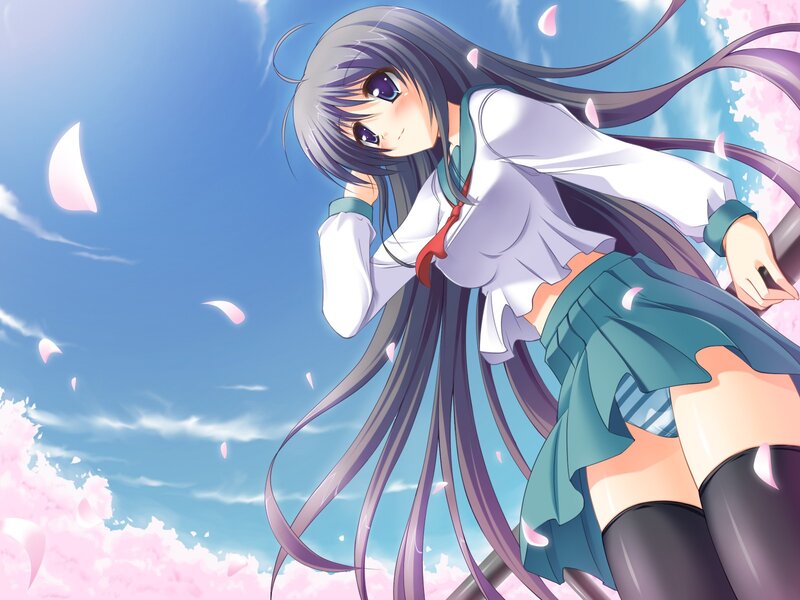 anime girl with cherry blossoms