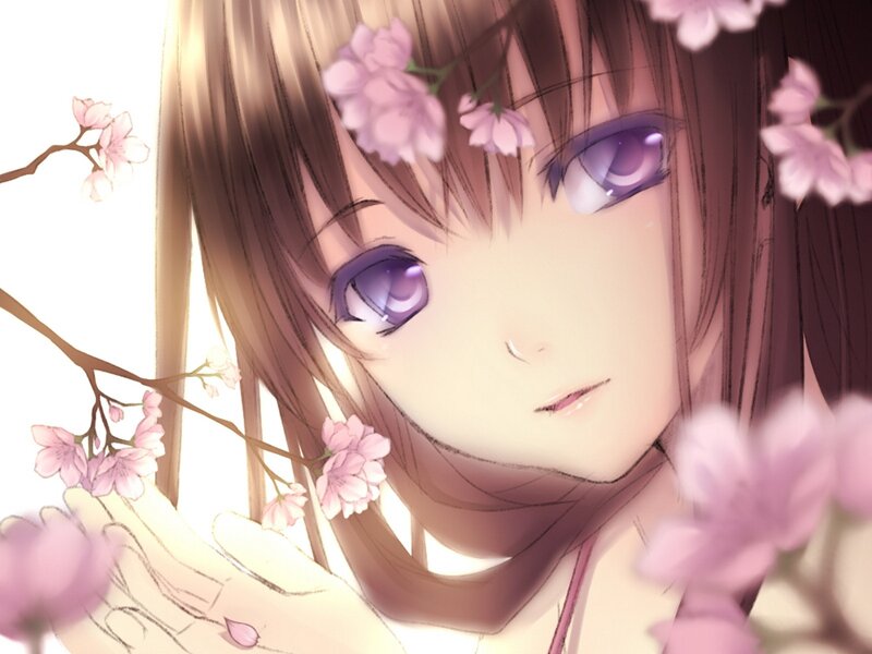 anime girl with cherry blossoms