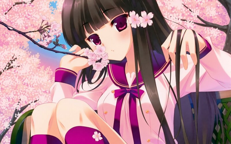 anime girl with cherry blossoms