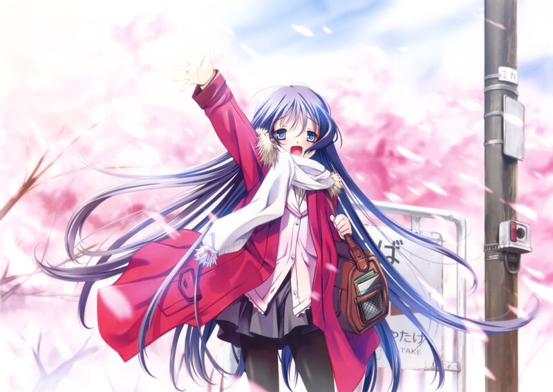 anime girl with cherry blossoms