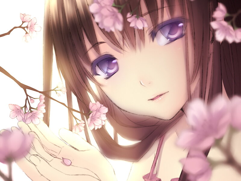 anime girl with cherry blossoms