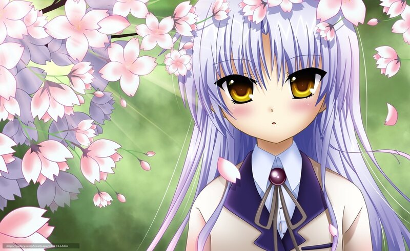 anime girl with cherry blossoms