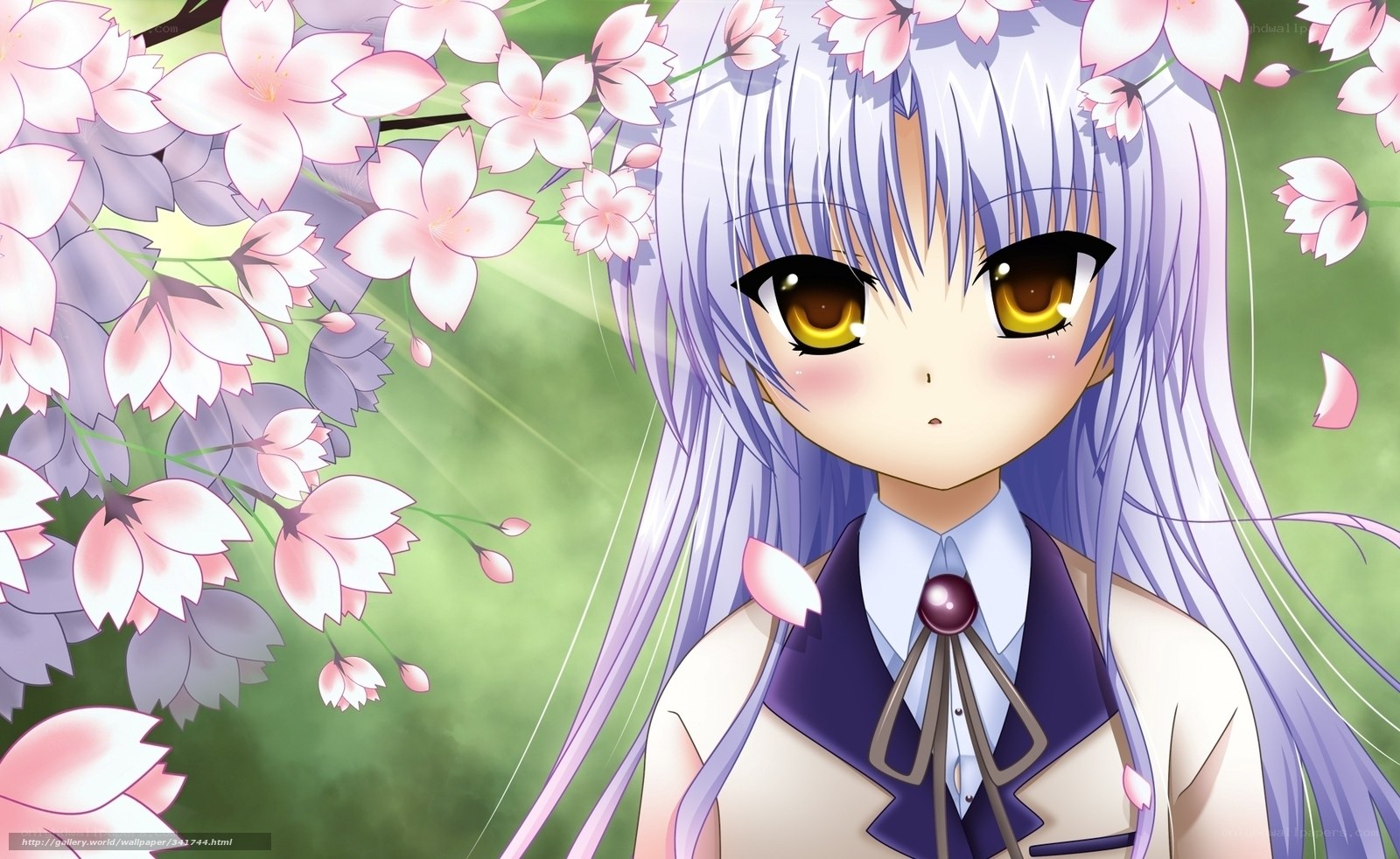 anime girl with cherry blossoms