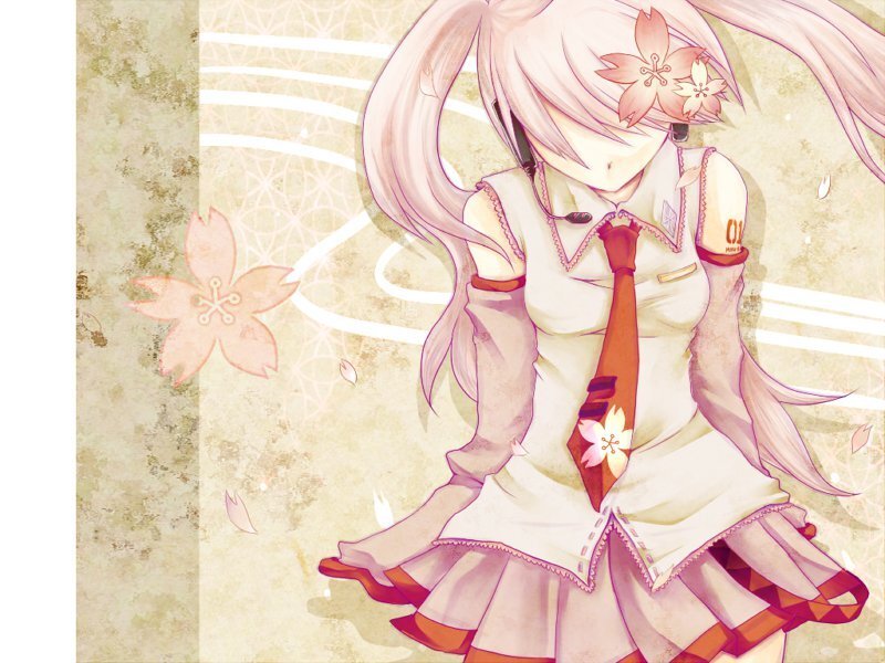 anime girl with cherry blossoms
