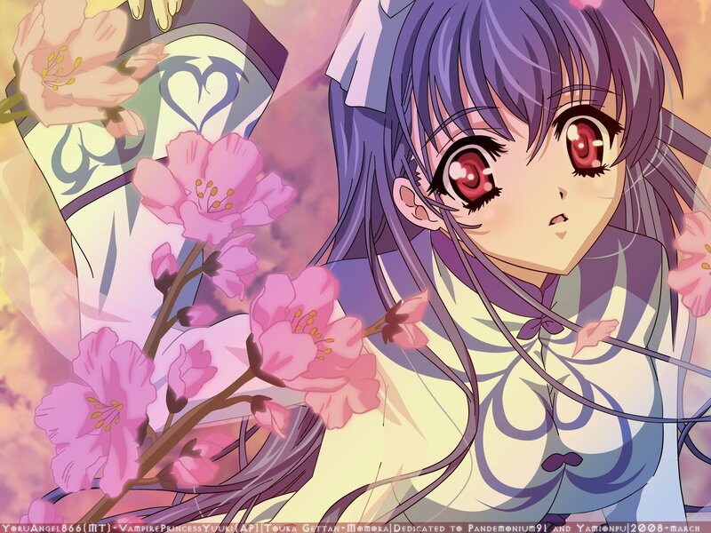 anime girl with cherry blossoms
