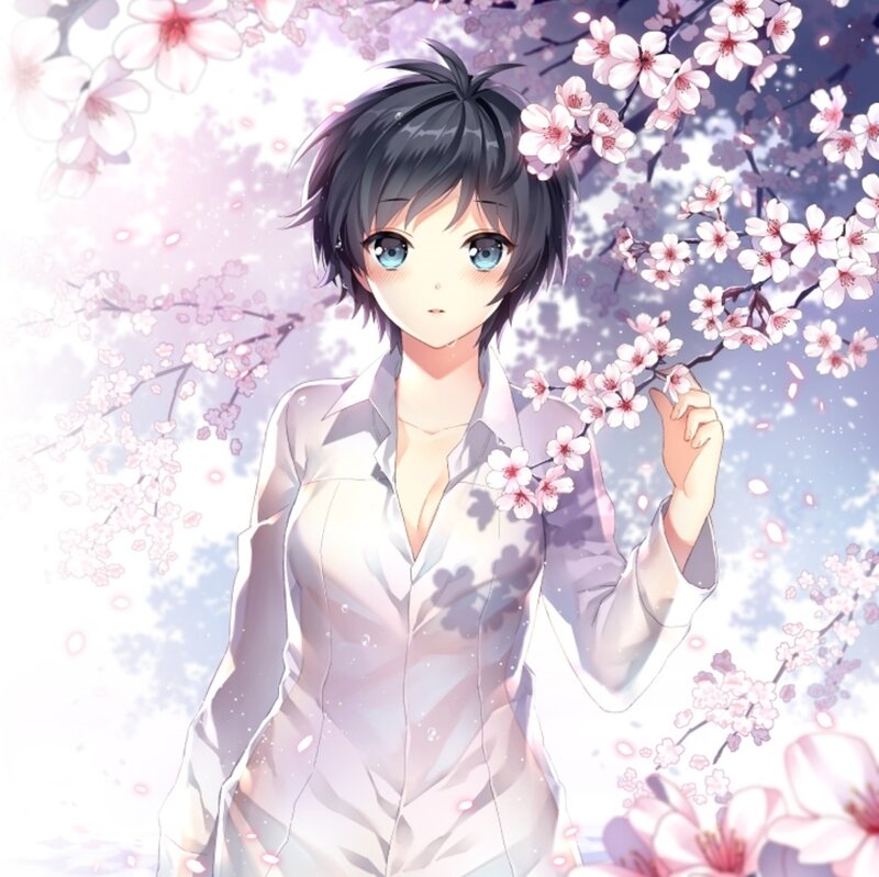 Anime Girl with Cherry Blossoms — Pink, Serene, Spring, Cherry Blossoms, Flower Branches
