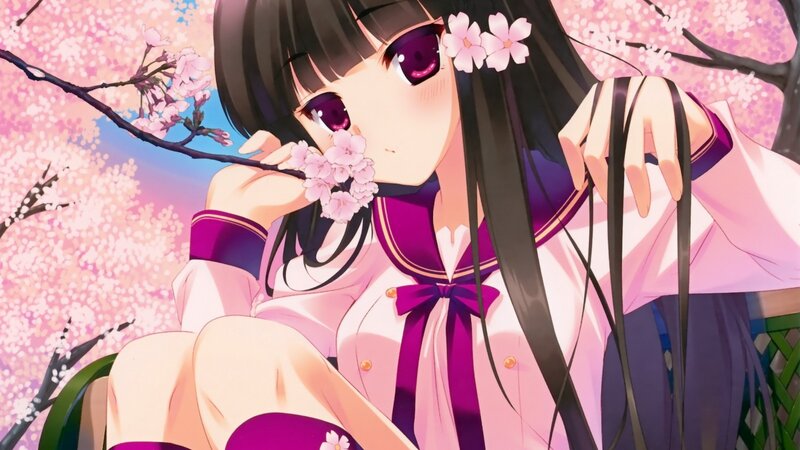 Anime Girl with Cherry Blossoms — Pink, Serene, Spring, Cherry Blossoms, School Uniform, Branch
