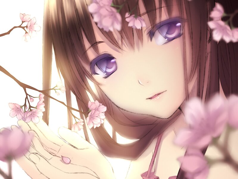Anime Girl with Cherry Blossoms — Pink, Serene, Spring, Digital Art, Cherry Blossoms, Purple Eyes