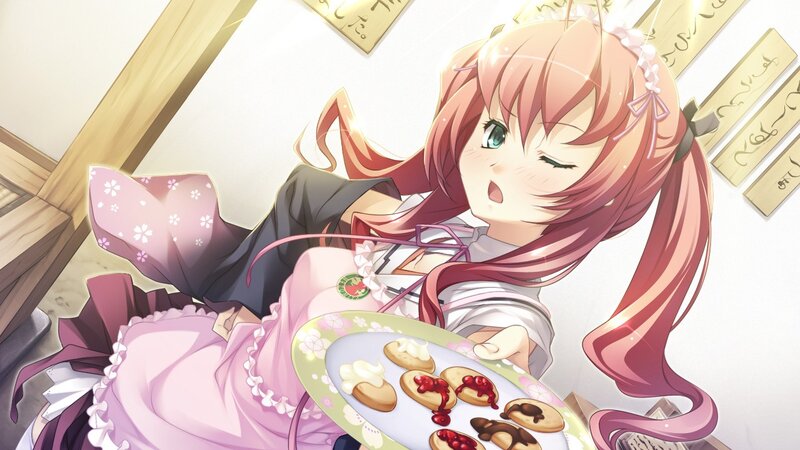 Anime girl with cookies