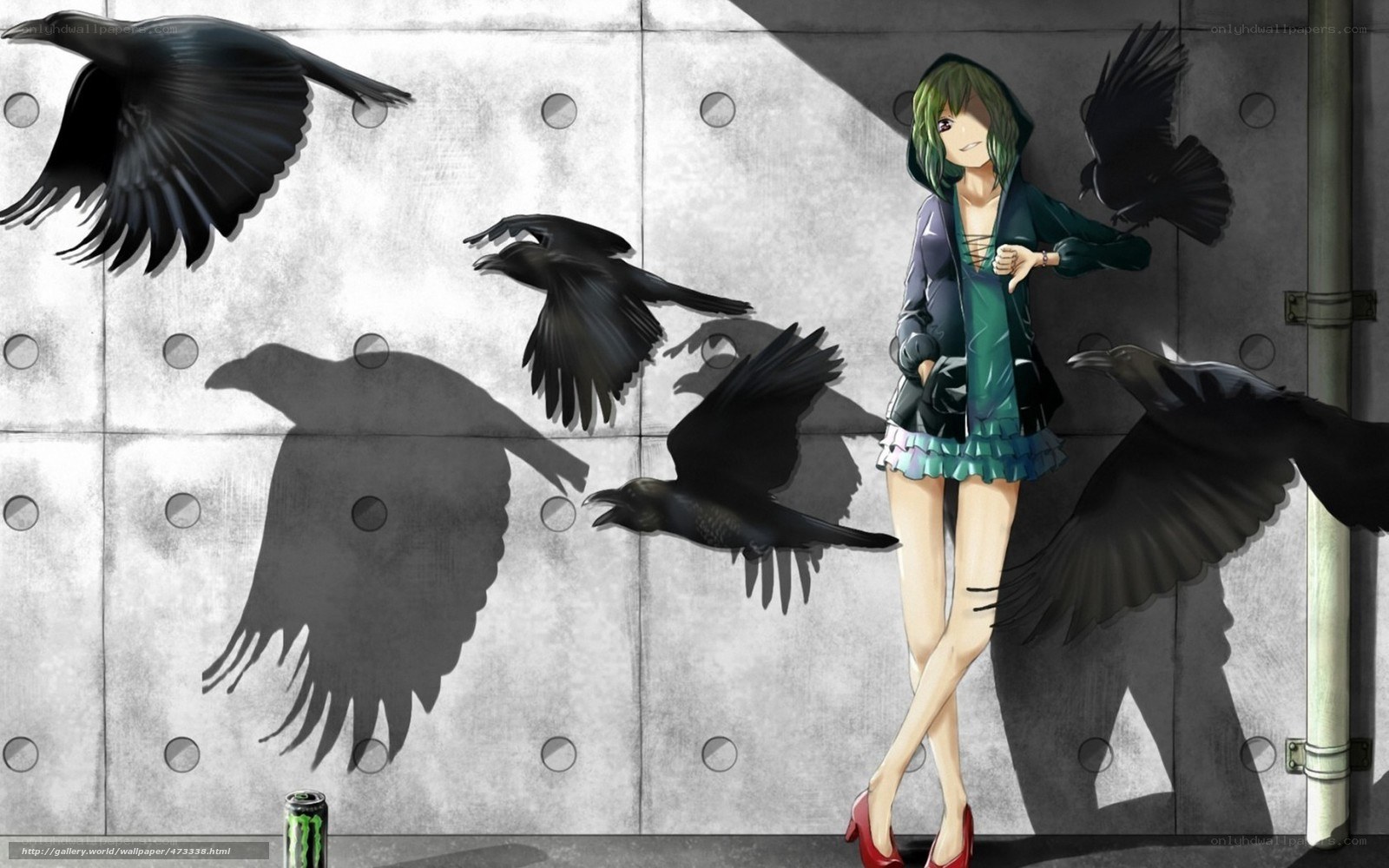 anime girl with crows