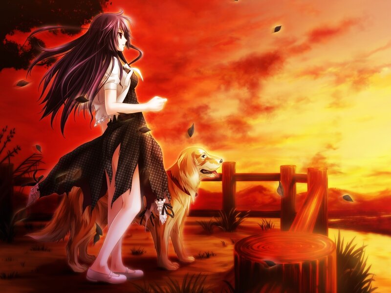 Anime girl with dog at sunset