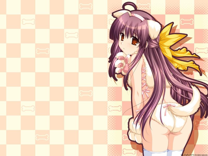 Anime Girl with Dog Ears — Purple