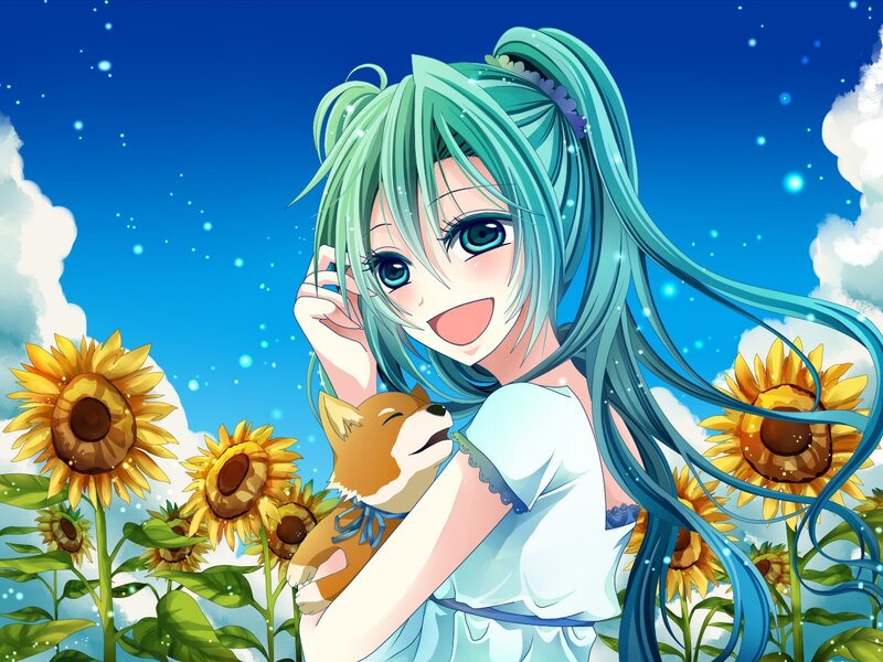 Anime girl with dog in sunflower field