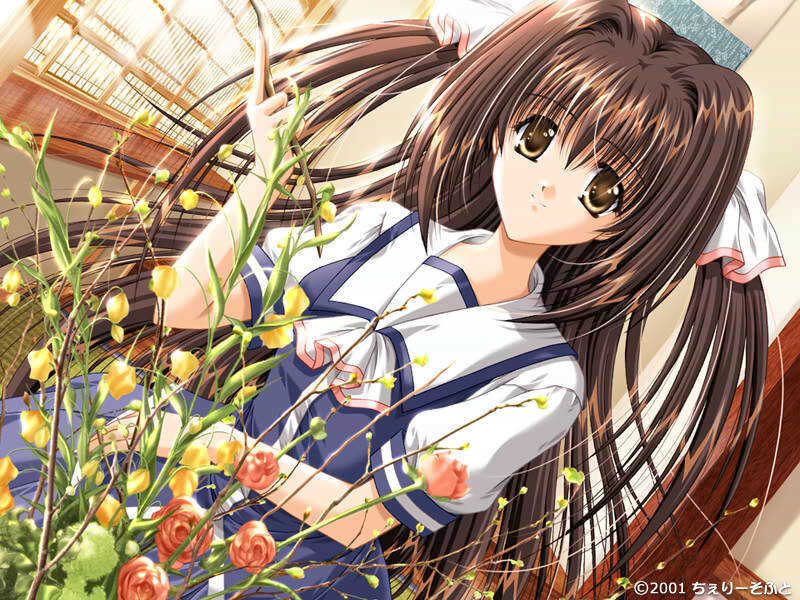 Anime Girl with Flowers — Brown
