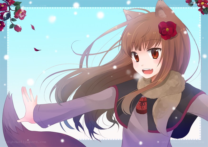 anime girl with fox ears