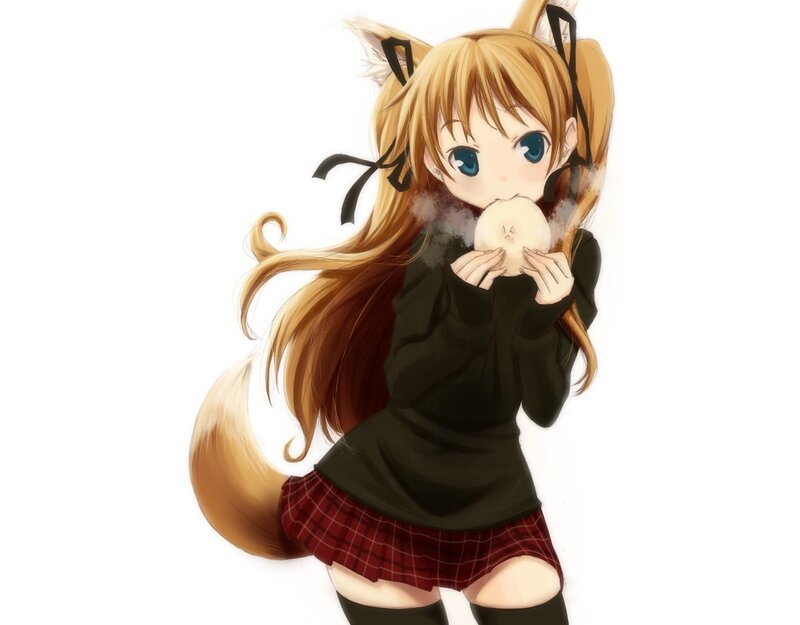 anime girl with fox ears
